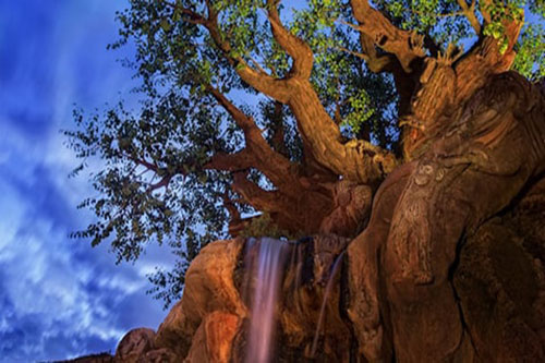 Discovery Island Trails