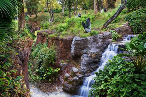 Gorilla Falls Exploration Trail