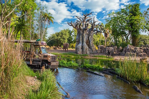 Kali River Rapids