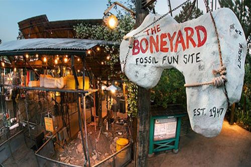 The Boneyard